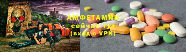 стафф Михайловск