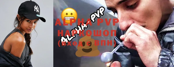 индика Надым