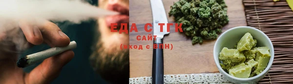 индика Надым