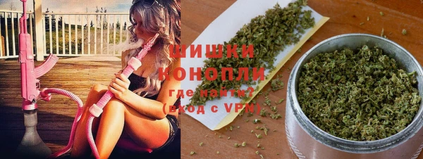индика Надым