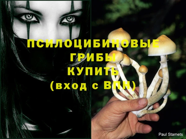 гидра Нея