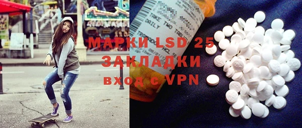 индика Надым